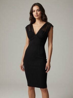2/$50. Cache Black Evening Dress - plunging neckline, mesh and heavy spandex. XS